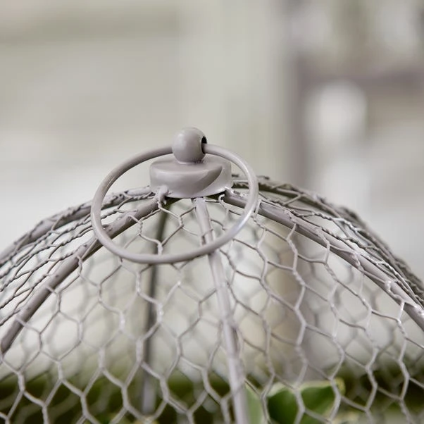 Dunelm Grey Plant Cloche 2 Dunelm Grey Plant Cloche - Image 2