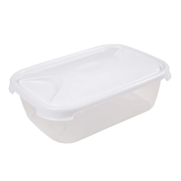 Dunelm Rectangular 2.75L Container 1 Dunelm Rectangular 2.75L Container