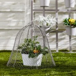 Dunelm Grey Plant Cloche