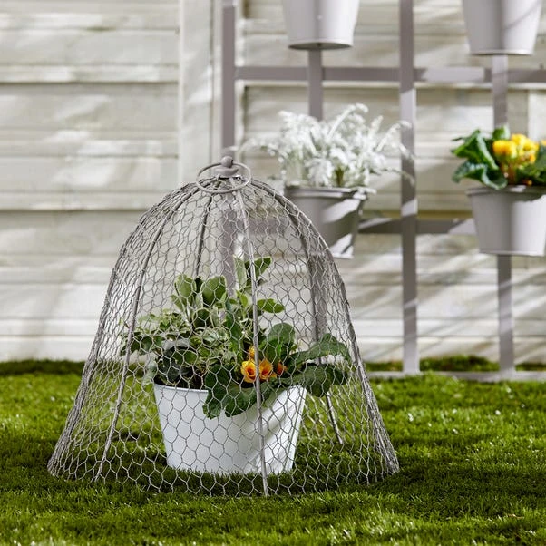 Dunelm Grey Plant Cloche 1 Dunelm Grey Plant Cloche