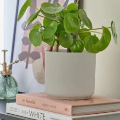 Dunelm Grey Ceramic Plant Pot