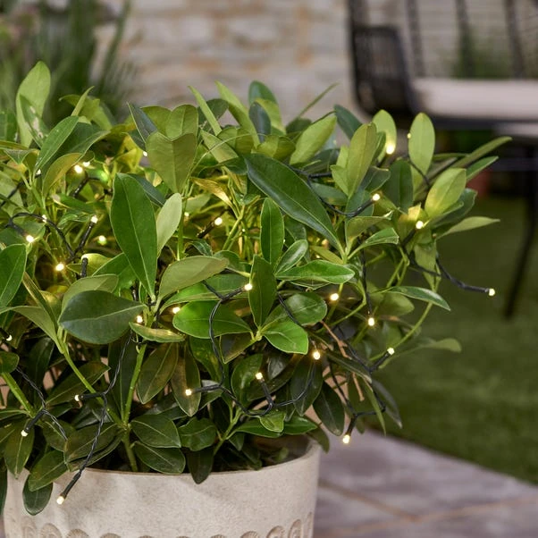 Dunelm 100 LED Battery Timer Chain Lights White 1 Dunelm 100 LED Battery Timer Chain Lights White