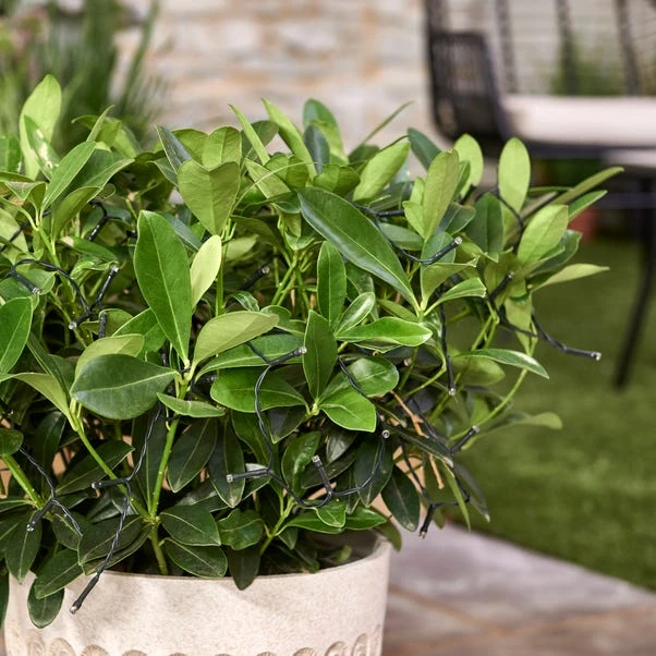 Dunelm 100 LED Battery Timer Chain Lights White 2 Dunelm 100 LED Battery Timer Chain Lights White - Image 2