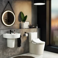 Arezzo Smart Toilet With Bidet Wash Function, Heated Seat + Dryer 11 Arezzo Smart Toilet With Bidet Wash Function, Heated Seat + Dryer -Dunelm Shop azsmwc d4