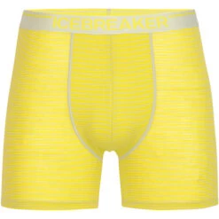 Icebreaker Anatomica Boxers Men Ether/shine/s