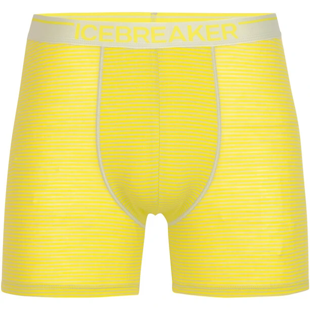 Icebreaker Anatomica Boxers Men Ether/shine/s 1 Icebreaker Anatomica Boxers Men Ether/shine/s