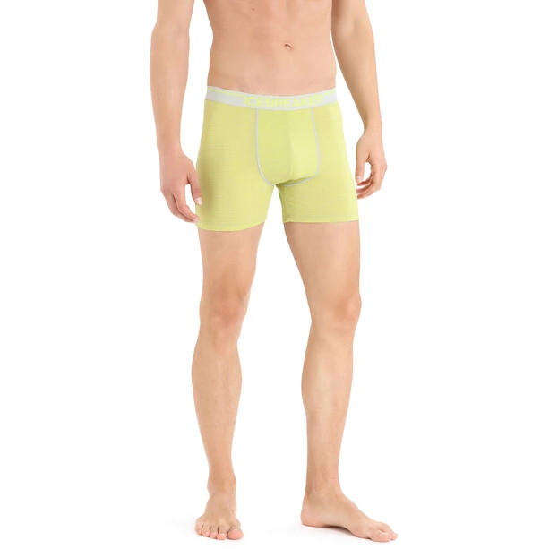 Icebreaker Anatomica Boxers Men Ether/shine/s 2 Icebreaker Anatomica Boxers Men Ether/shine/s - Image 2