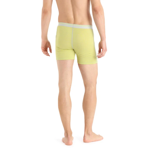 Icebreaker Anatomica Boxers Men Ether/shine/s 3 Icebreaker Anatomica Boxers Men Ether/shine/s - Image 3