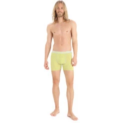 Icebreaker Anatomica Boxers Men Ether/shine/s 9 Icebreaker Anatomica Boxers Men Ether/shine/s -Dunelm Shop icebreaker anatomica boxers men ether shine s 4